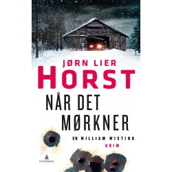 Når det mørkner : kriminalroman