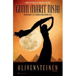 Olivensteinen : roman