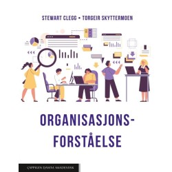 Organisasjonsforståelse