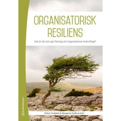 Organisatorisk resiliens : var är det som gör organisationer livskraftiga?