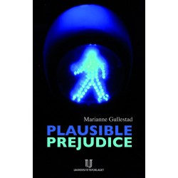 Plausible prejudice : everyday experiences and social images of nation, culture and rece