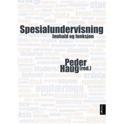 Spesialundervisning : innhald og funksjon