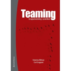 Teaming : grupputveckling i praktiken