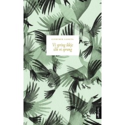 Vi spring ikkje lik vi sprang : roman