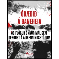 Ódæðið á Baneheia og fjögur önnur mál sem gerðust á almenningsstöðum