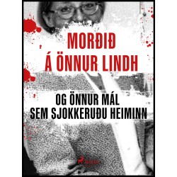 Morðið á Önnu Lindh og önnur mál sem sjokkeruðu heiminn
