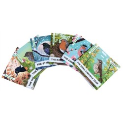 Enchanted Nature - Garden Birds Pack: Pack of Six Decodable Readers (Ages 5-7)