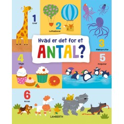 Hvad er det for et antal?