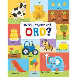 Hvad betyder det ord?