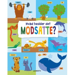 Hvad hedder det modsatte?