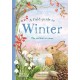 A Field Guide to Winter: Play and learn in nature