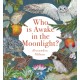 Who Is Awake in the Moonlight?