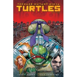 Teenage Mutant Ninja Turtles: NYC vs. TMNT