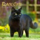 Black Cats 2026 Square Flap Foil Calendar