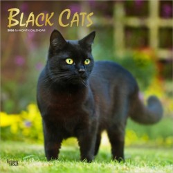 Black Cats 2026 Square Flap Foil Calendar