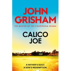 Calico Joe: The unforgettable family drama from the number 1 Sunday Times bestselling author