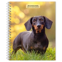 Dachshunds 2026 Engagement Diary