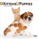 Kittens & Puppies 2026 Mini 7x7 Calendar
