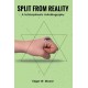 Split from Reality: A Schizophrenic Autobiography