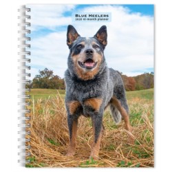 Blue Heelers 2026 Engagement Diary