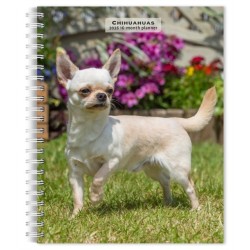 Chihuahuas 2026 Engagement Diary