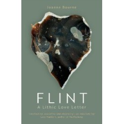 Flint: a lithic love letter
