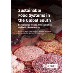 Sustainable Food Systems in the Global South: Performance Trends, Vulnerabilities and Policy Frameworks