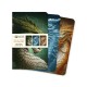 Dragons by Kerem Beyit Set of 3 Mini Notebooks