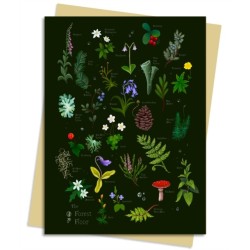 Anna Stead Forest Floor Greeting Card Pack: Pack of 6