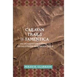 Caravan Trails of Tamentica: An Archaeoethnography of Geoglyphs in Northern Chile