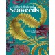 Edible & Medicinal Seaweeds: A Guide to Healing & Nutritive Ocean Plants