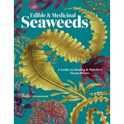 Edible & Medicinal Seaweeds: A Guide to Healing & Nutritive Ocean Plants