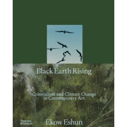 Black Earth Rising