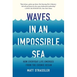 Waves in an Impossible Sea: How Everyday Life Emerges from the Cosmic Ocean