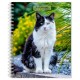 Cat Lovers 2026 Engagement Diary