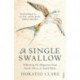 A Single Swallow: Following An Epic Journey From South Africa To South Wales