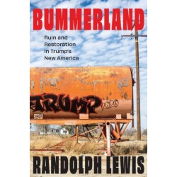 Bummerland: Ruin and Restoration in Trump's New America