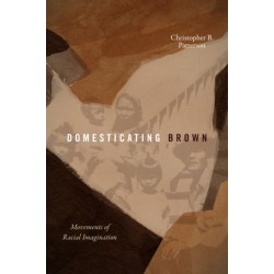 Domesticating Brown: Movements of Racial Imagination