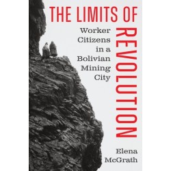 The Limits of Revolution: Worker Citizens in a Bolivian Mining City