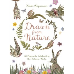 Drawn From Nature: 50 Postcards Celebrating the Natural World