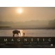 Magnetic: Humanity and the Asian elephant