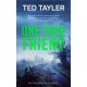 One True Friend: A Cold Case Murder Mystery Series