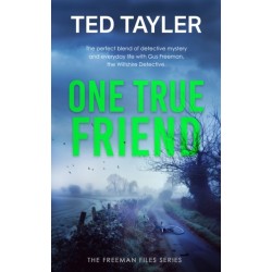 One True Friend: A Cold Case Murder Mystery Series