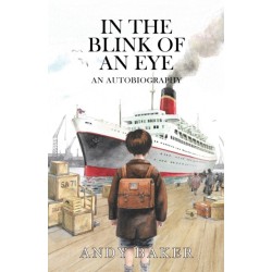 In the Blink of an Eye