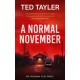 A Normal November: A Cold Case Murder Mystery Series
