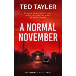 A Normal November: A Cold Case Murder Mystery Series