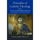 Principles of Catholic Theology, Book 5: No One Is More Human Than God: on the Trinitarian Presence of God in the World