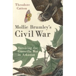 Mollie Brumley's Civil War: Surviving the Guerrilla War in Arkansas