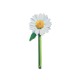 Flower Bookmarks - Painted Daisy