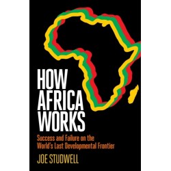 How Africa Works: Success and Failure on the World's Last Developmental Frontier